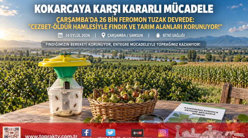 Çarşamba’da Kahverengi Kokarcaya Karşı Topyekun Seferberlik: 26 Bin Feromon Tuzakla “Cezbet-Öldür” Hamlesi!…