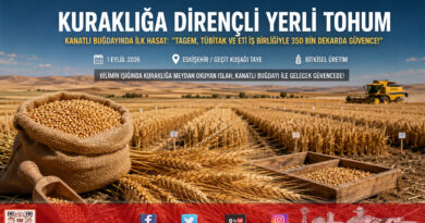 İklim Krizine Karşı Yerli ve Dirençli Islah: ETİ, TAGEM ve TÜBİTAK İş Birliğiyle Geliştirilen “Kanatlı Buğdayı”nda İlk Tohumluk Hasadı Yapıldı!…