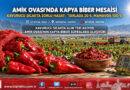 Amik Ovası’nda Sıcağa Rağmen Kapya Biber Mesaisi: Tarlada 20 ₺, Manavda 100 ₺ Çelişkisi!…