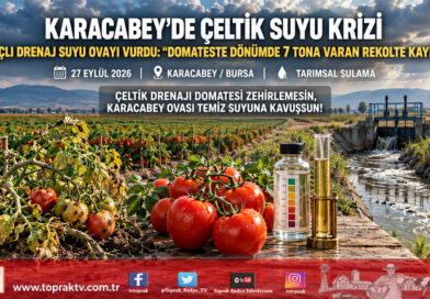 Karacabey Ovası’nda Çeltik Suyu Alarmı: Zirai İlaçlı Drenaj Suyu Salçalık Domateste Dönüm Başına 7 Ton Verim Kaybına Yol Açtı!…