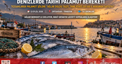 Denizlerde Son Yılların En Bereketli Palamut Sezonu: Tezgahlarda Tane Fiyatı 50-100 ₺ Arasında!…