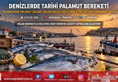 Denizlerde Son Yılların En Bereketli Palamut Sezonu: Tezgahlarda Tane Fiyatı 50-100 ₺ Arasında!…