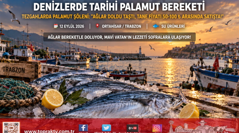 Denizlerde Son Yılların En Bereketli Palamut Sezonu: Tezgahlarda Tane Fiyatı 50-100 ₺ Arasında!…