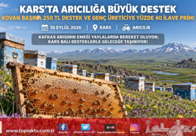Kars Yaylalarında Arıcılığa Büyük Güç: Kovan Başına 250 ₺’ye Varan Temel Destek ve Genç Üreticiye %40 İlave Prim!…
