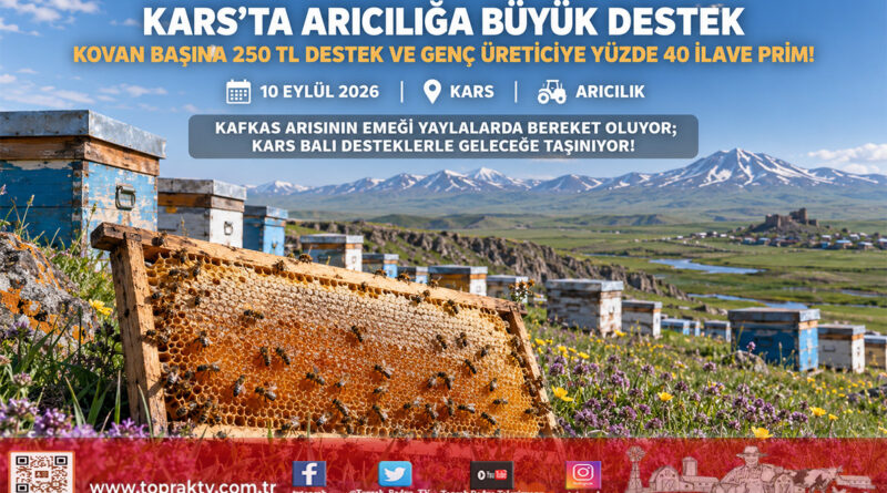 Kars Yaylalarında Arıcılığa Büyük Güç: Kovan Başına 250 ₺’ye Varan Temel Destek ve Genç Üreticiye %40 İlave Prim!…