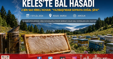 Bursa’da Kırsal Kalkınma Hamlesi: Keles’te 2 Bin 560 Hibeli Kovanla Bal Hasadı Başladı!…