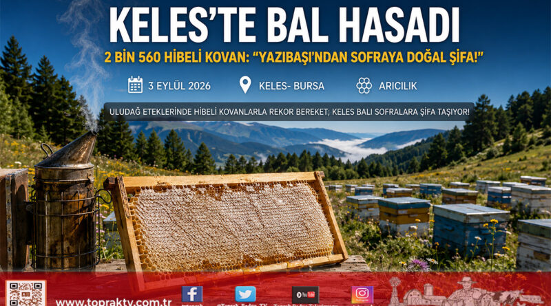 Bursa’da Kırsal Kalkınma Hamlesi: Keles’te 2 Bin 560 Hibeli Kovanla Bal Hasadı Başladı!…