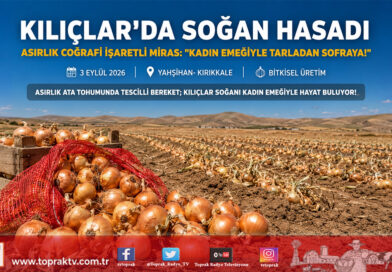 Kırıkkale’de Asırlık Mirasın Hasat Mesaisi: Coğrafi İşaretli Kılıçlar Soğanı Tarlada 30 ₺!…