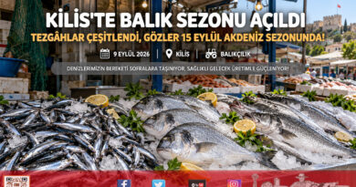 Kilis’te Av Sezonu Bereketi: Tezgâhlar Şenlendi, Gözler 15 Eylül Akdeniz Açılışına Çevrildi!…