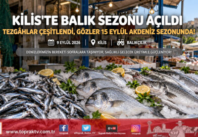 Kilis’te Av Sezonu Bereketi: Tezgâhlar Şenlendi, Gözler 15 Eylül Akdeniz Açılışına Çevrildi!…