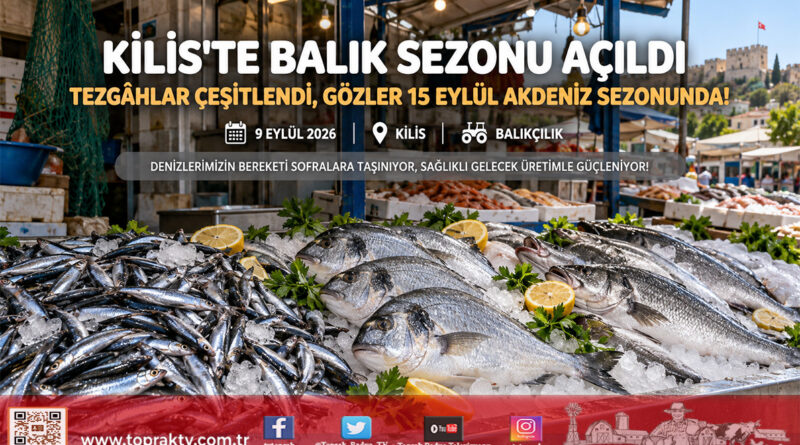 Kilis’te Av Sezonu Bereketi: Tezgâhlar Şenlendi, Gözler 15 Eylül Akdeniz Açılışına Çevrildi!…