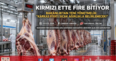Kırmızı Et Sektöründe Fire Kesintisine Son: Sığır Karkas Fiyatı Sıcak Ağırlığa Göre Belirlenecek!…