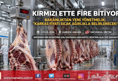 Kırmızı Et Sektöründe Fire Kesintisine Son: Sığır Karkas Fiyatı Sıcak Ağırlığa Göre Belirlenecek!…
