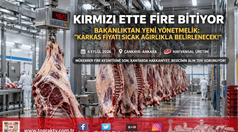 Kırmızı Et Sektöründe Fire Kesintisine Son: Sığır Karkas Fiyatı Sıcak Ağırlığa Göre Belirlenecek!…
