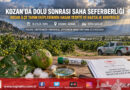 Kozan’da Dolu Yağışının Ardından Ekipler Sahada: Tarım Arazilerinde Hasar Tespiti ve Hastalık Taraması Başlatıldı!…