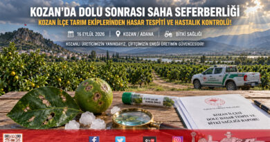Kozan’da Dolu Yağışının Ardından Ekipler Sahada: Tarım Arazilerinde Hasar Tespiti ve Hastalık Taraması Başlatıldı!…
