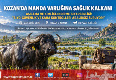 Çukurova’da Manda Varlığına Biyo-Güvenlik Kalkanı: Kozan’da Aşılama Ve Kimliklendirme Seferberliği Sürüyor!…