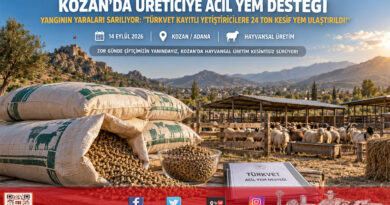 Kozan’da Yangın Afetinin Yaraları Sarılıyor: Yetiştiricilere 24 Ton Kesif Yem Desteği Ulaştırıldı!…