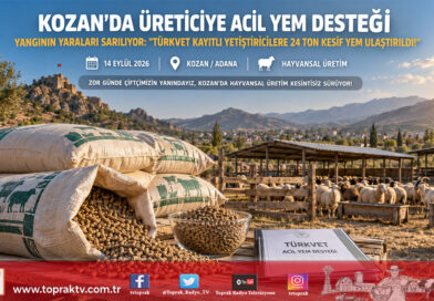 Kozan’da Yangın Afetinin Yaraları Sarılıyor: Yetiştiricilere 24 Ton Kesif Yem Desteği Ulaştırıldı!…