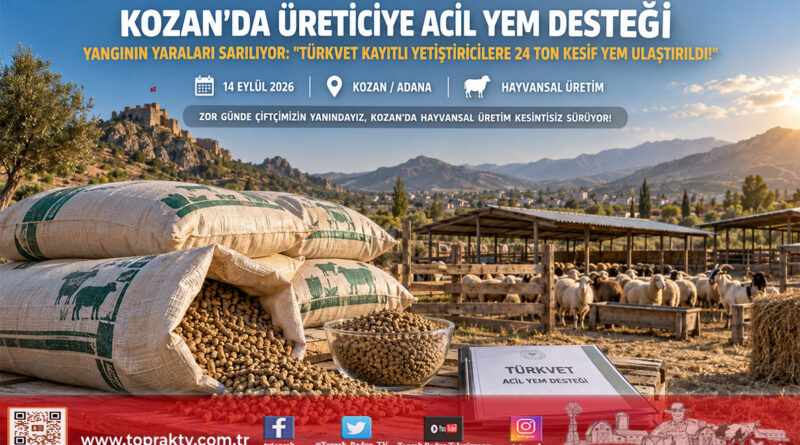 Kozan’da Yangın Afetinin Yaraları Sarılıyor: Yetiştiricilere 24 Ton Kesif Yem Desteği Ulaştırıldı!…