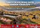 Türkiye’de Küçükbaş Varlığı Yeniden Yükselişte: 60 Milyon Sınırı Aşıldı!…