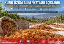 Toprak Mahsulleri Ofisi Çekirdeksiz Kuru Üzüm Alım Fiyatlarını Açıkladı: 9 Numara ₺95, 10 Numara ₺100 Olarak Belirlendi!…