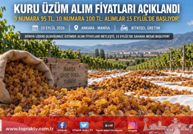 Toprak Mahsulleri Ofisi Çekirdeksiz Kuru Üzüm Alım Fiyatlarını Açıkladı: 9 Numara ₺95, 10 Numara ₺100 Olarak Belirlendi!…