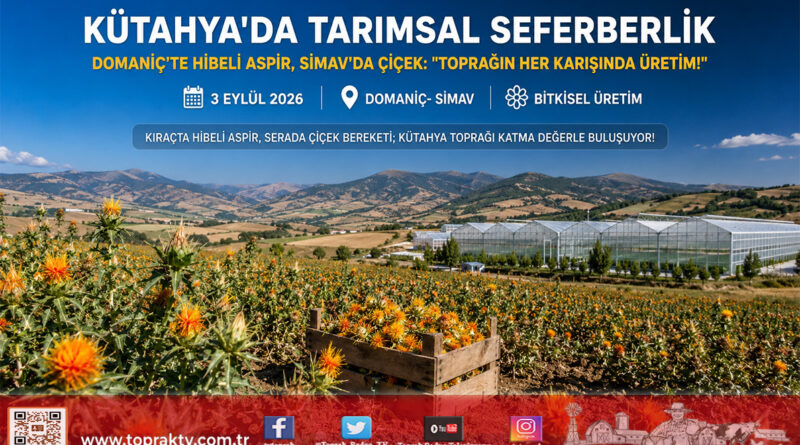 Kütahya’da Tarımsal Üretim Atağı: Domaniç’te Yüzde 75 Hibeli Aspir Hasadı, Simav’da Kesme Çiçek ve Saha Kontrolleri!…