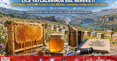 Yağışlar Zengin Florayı Coşturdu: Diyarbakır Lice’de Bal Verimi İkiye Katlandı!…