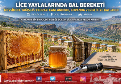 Yağışlar Zengin Florayı Coşturdu: Diyarbakır Lice’de Bal Verimi İkiye Katlandı!…