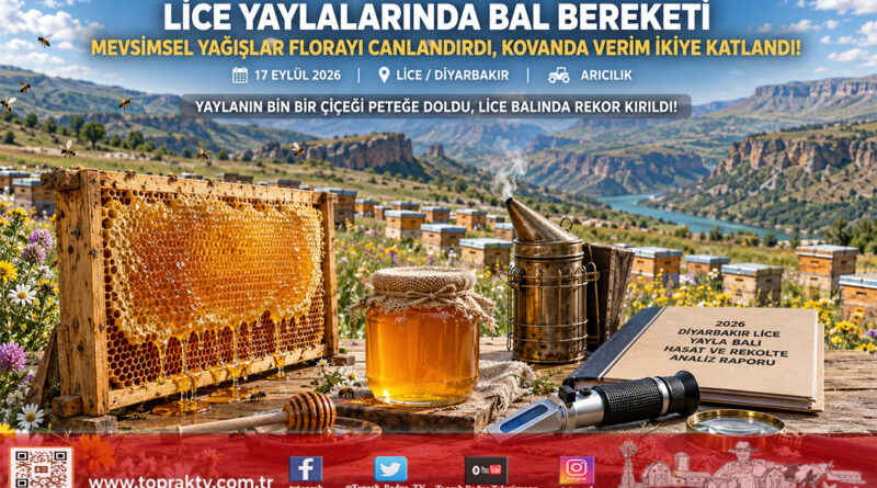 Yağışlar Zengin Florayı Coşturdu: Diyarbakır Lice’de Bal Verimi İkiye Katlandı!…