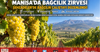 Türkiye Üretiminin %88’i Bu Topraklarda: Şehzadeler’de Bağcılık Çalıştayı Ortak Akılla Toplandı!…