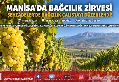 Türkiye Üretiminin %88’i Bu Topraklarda: Şehzadeler’de Bağcılık Çalıştayı Ortak Akılla Toplandı!…