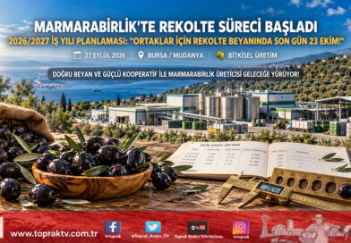 Marmarabirlik’te 2026/2027 Sezonu Rekolte Süreci Başladı: Ortaklar İçin Beyan Süresi 23 Ekim’de Sona Eriyor!…