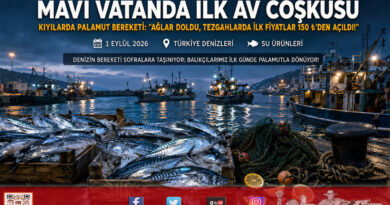 Karadeniz’den Ege’ye “Vira Bismillah” Coşkusu: Ağlar Doldu, İlk Gün Palamut Bereketiyle Tezgahlarda Fiyatlar 150 ₺’den Açıldı!…