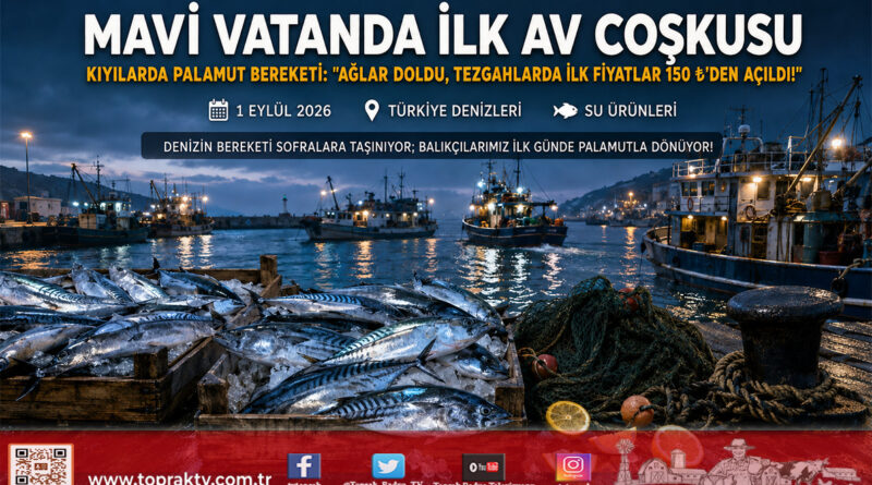 Karadeniz’den Ege’ye “Vira Bismillah” Coşkusu: Ağlar Doldu, İlk Gün Palamut Bereketiyle Tezgahlarda Fiyatlar 150 ₺’den Açıldı!…