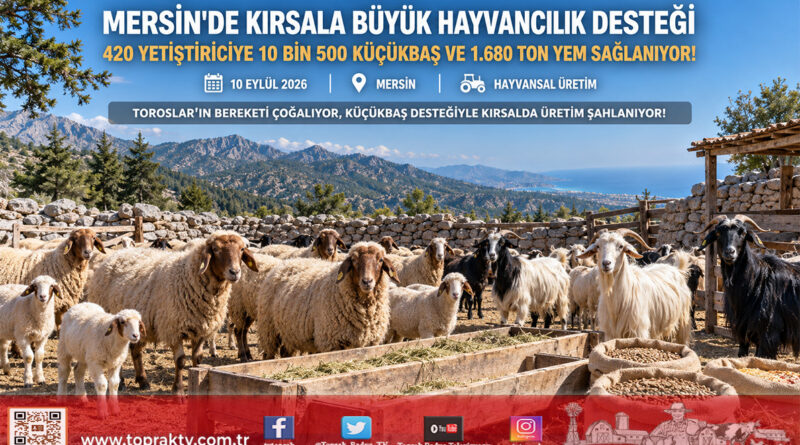 Mersin’de Kırsala Can Suyu: 420 Yetiştiriciye 10 Bin 500 Küçükbaş Hayvan ve 1.680 Ton Yem Desteği!…