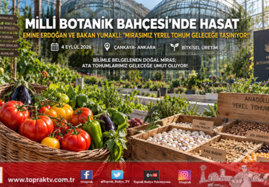 Millî Botanik Bahçesi’nde Anlamlı Ziyaret: Emine Erdoğan ve Bakan Yumaklı Ata Tohumlarının Hasadını Yaptı!…