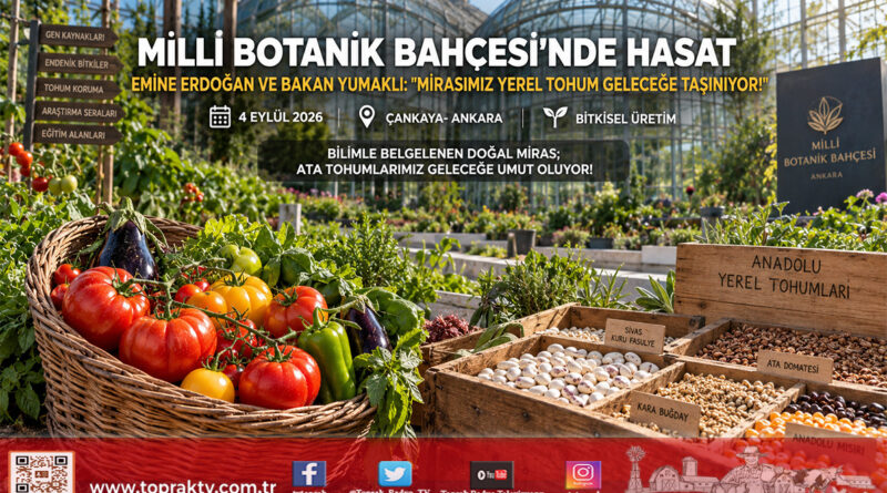 Millî Botanik Bahçesi’nde Anlamlı Ziyaret: Emine Erdoğan ve Bakan Yumaklı Ata Tohumlarının Hasadını Yaptı!…