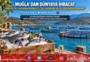 Ege’nin İhracat Lokomotifi Muğla: Su Ürünleri ve Zeytinyağı Dünya Pazarlarında Zirveye Koşuyor!…