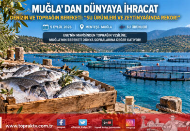 Ege’nin İhracat Lokomotifi Muğla: Su Ürünleri ve Zeytinyağı Dünya Pazarlarında Zirveye Koşuyor!…