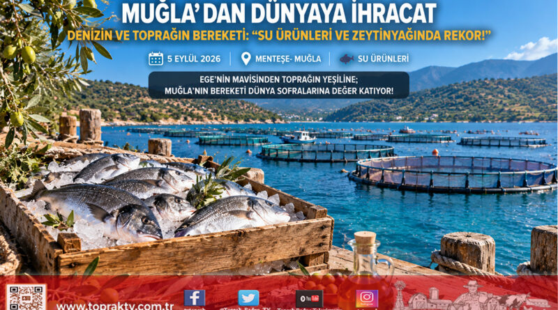 Ege’nin İhracat Lokomotifi Muğla: Su Ürünleri ve Zeytinyağı Dünya Pazarlarında Zirveye Koşuyor!…