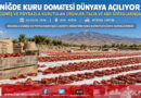 Güneş ve Poyrazla Kuruyan Niğde Domatesi Dünya Sofralarında: İtalya’dan ABD’ye Dev İhracat Köprüsü!…
