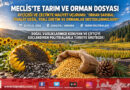 Meclis Gündeminde Ormanlar Ve İthalat Baskısı: Ayçiçeği Ve Çeltikte Maliyet Uçurumu, 43 Milyon Metrekarelik Orman Kararı Masada!…