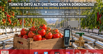 Türkiye Örtü Altı Üretimde Zirveye Oynuyor: Dünyada Dördüncü, Avrupa’da İkinci Sıradayız!…