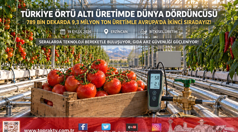 Türkiye Örtü Altı Üretimde Zirveye Oynuyor: Dünyada Dördüncü, Avrupa’da İkinci Sıradayız!…