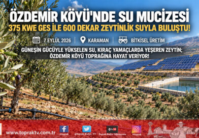 Karaman Özdemir Köyü’nde 14 Milyon ₺’lik Dev Yatırım: 600 Dekar Kıraç Zeytinlik GES Destekli Otomasyonla Suya Kavuştu!…