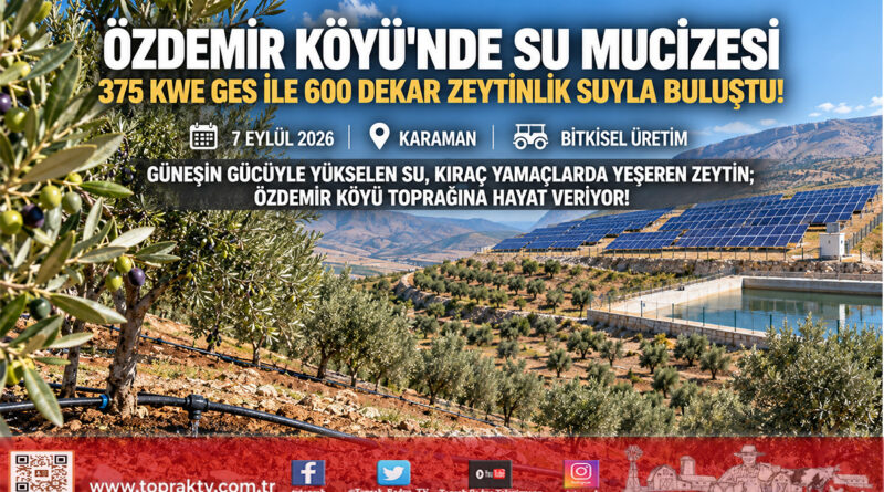 Karaman Özdemir Köyü’nde 14 Milyon ₺’lik Dev Yatırım: 600 Dekar Kıraç Zeytinlik GES Destekli Otomasyonla Suya Kavuştu!…