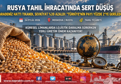 Karadeniz’de Sevkiyat Tıkandı: Rusya’nın Tahıl İhracatı Yüzde 39 Geriledi, Türkiye’nin Payı Yüzde 2’ye Düştü!…