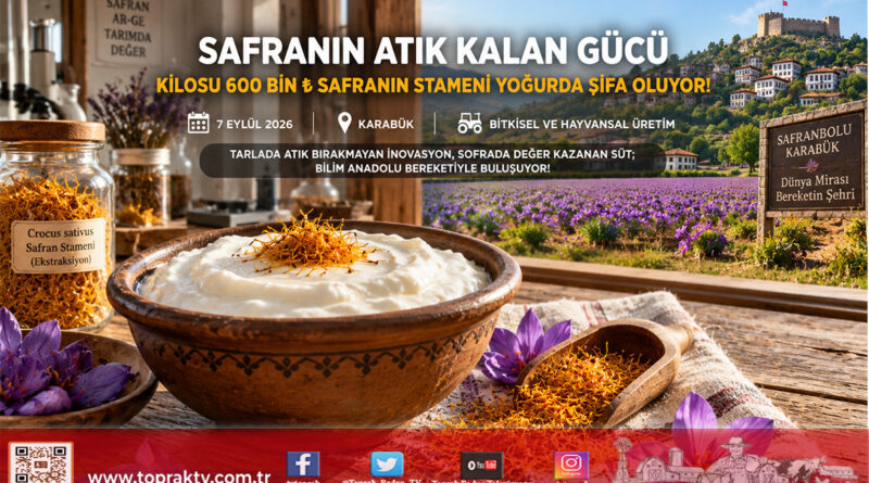 Kilosu 600 Bin ₺ Olan Safranın Atık Kalan %93’ü Yoğurda Katma Değer Katacak: Karabük Üniversitesi’nden TÜBİTAK Destekli İnovasyon!…